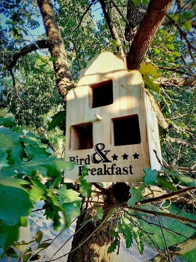 Casa Nel Bosco Il Grottone Villa Montaione 0*,