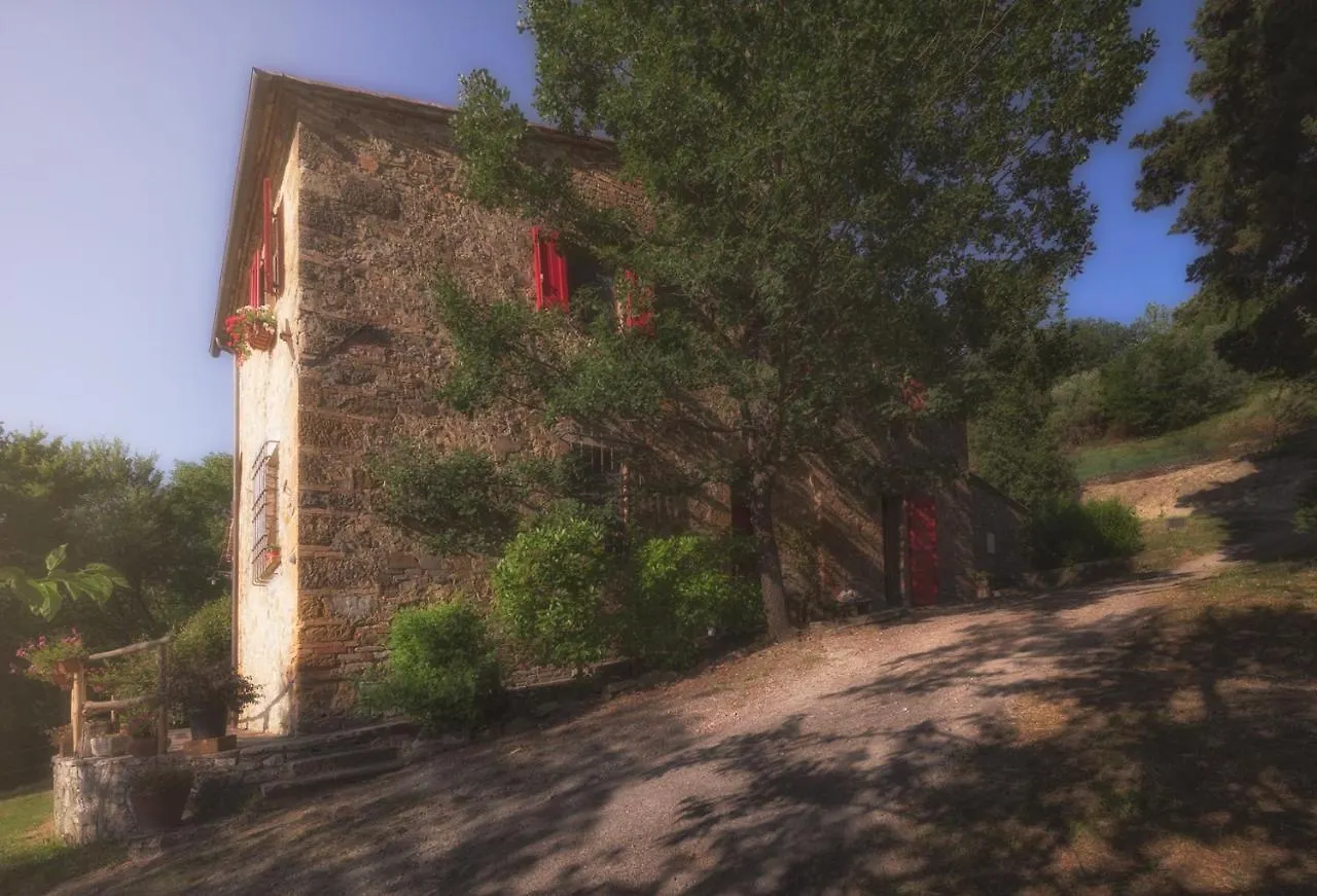 Casa Nel Bosco Il Grottone Villa Montaione Feriehus