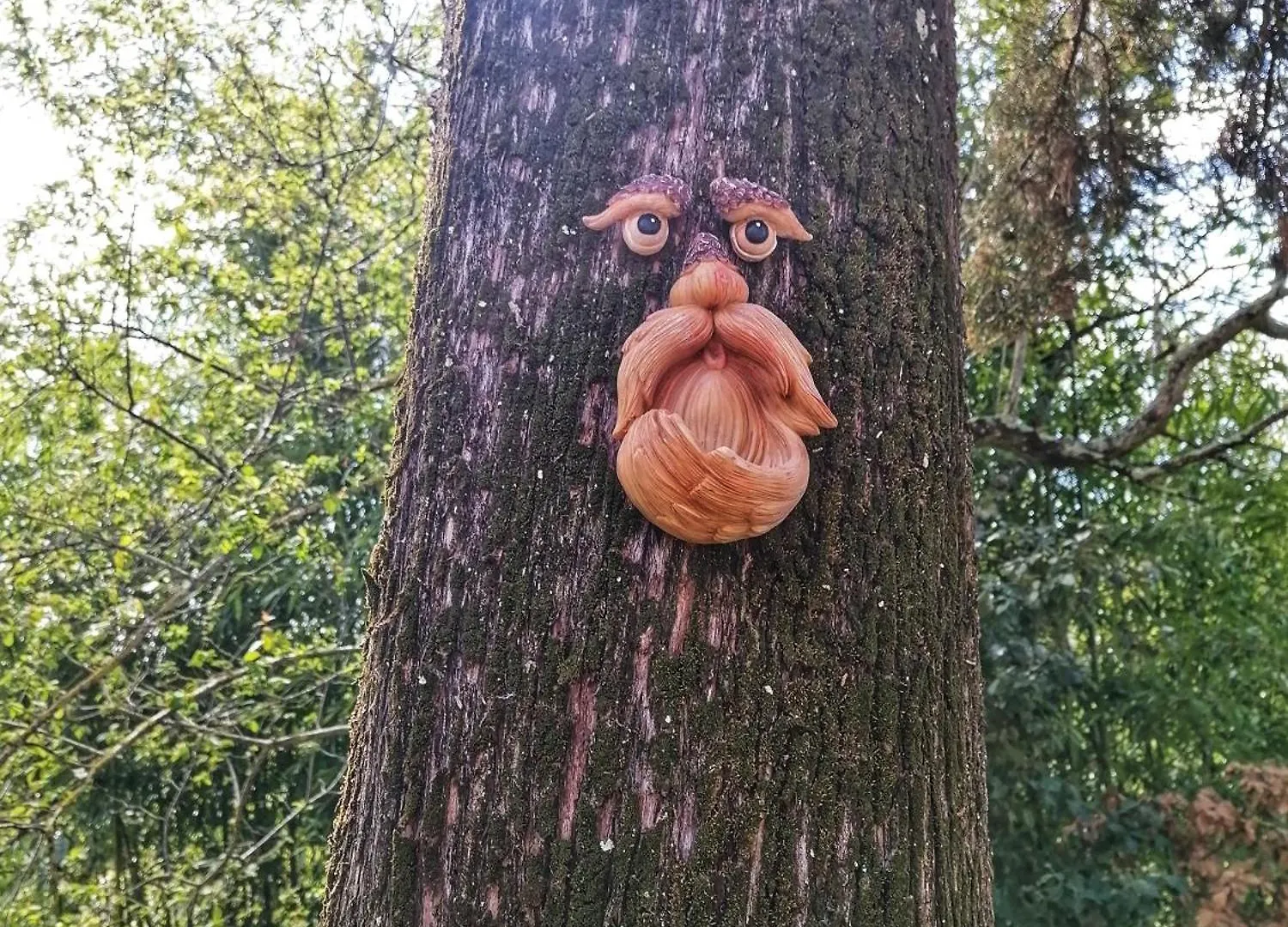 Casa Nel Bosco Il Grottone Villa Montaione Feriehus