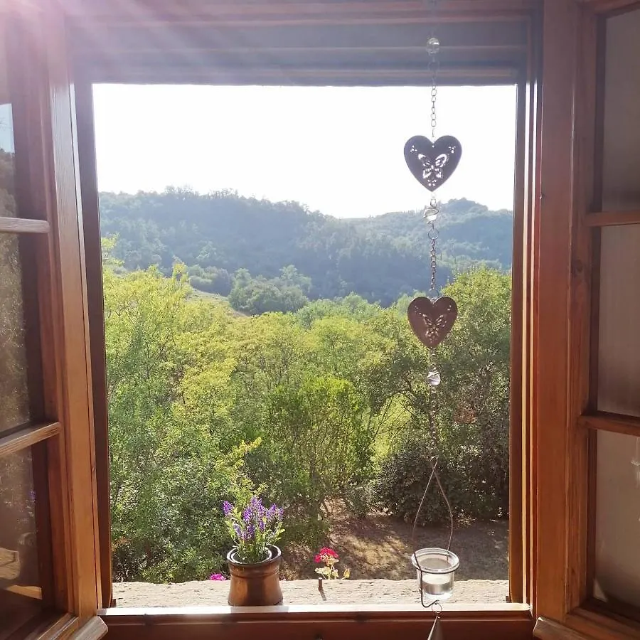 Casa Nel Bosco Il Grottone Villa Montaione Italy